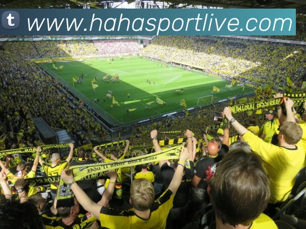 哈哈体育品牌故事