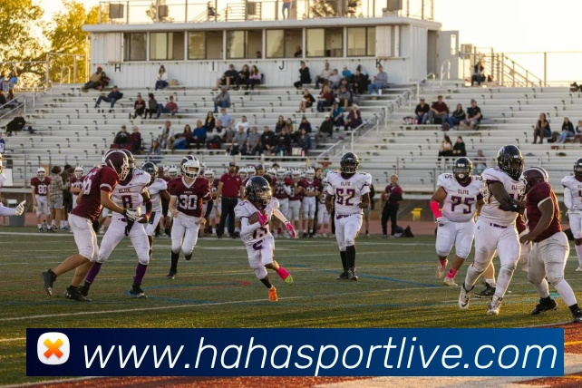 哈哈体育服务体系